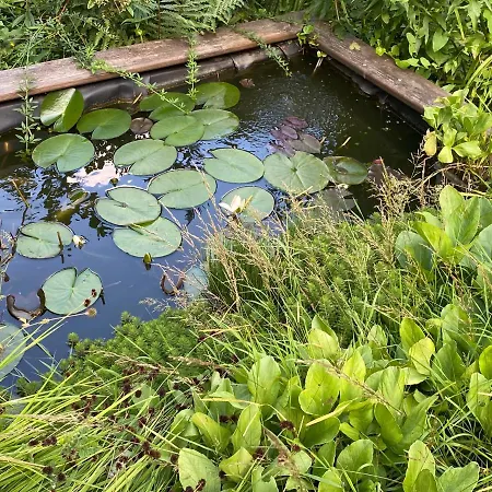 Annastef 펜션 나무르